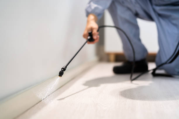 Licensed Pest Control service in Homer, AK - Show Me Pest Control